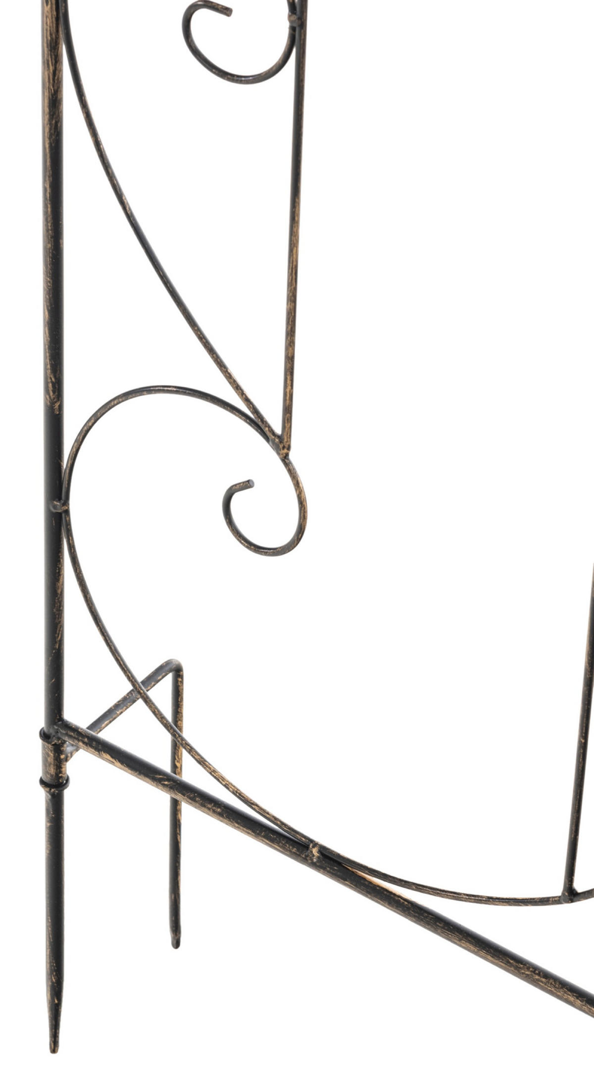 RANKGITTER Mandarin bronze - Braun, Metall (99/133/7cm) - TPFGarden