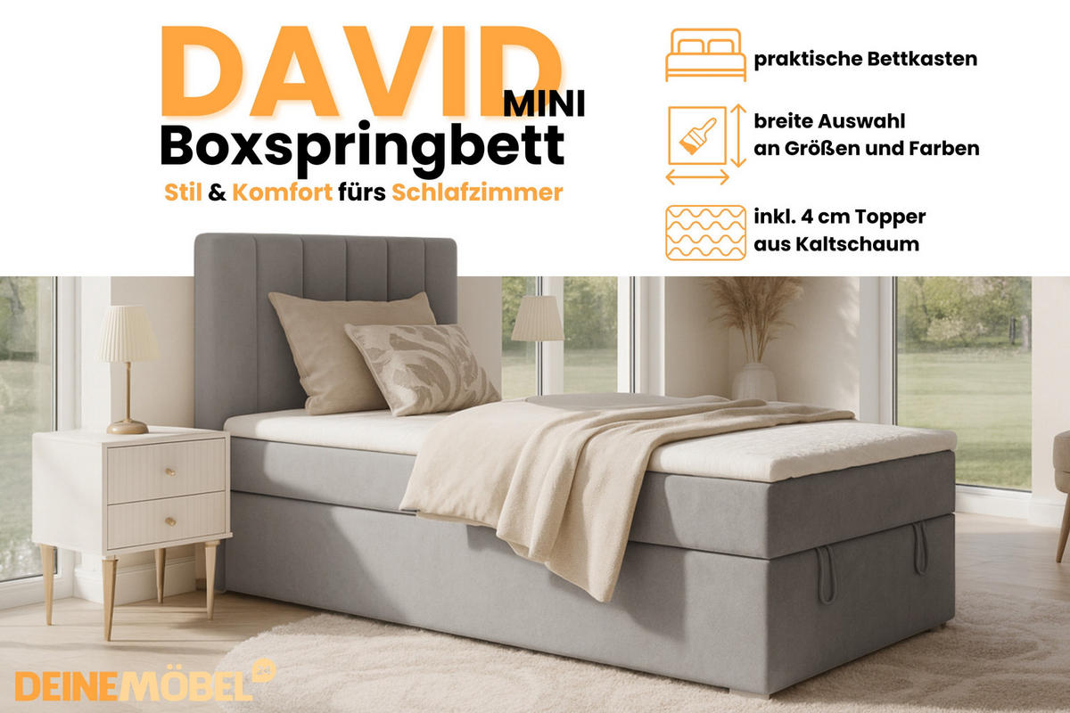 BOXBETT DAVID MINI 120/200 in Velours Hellgrau H4 - Hellgrau, Holz/Holzwerkstoff (120/200cm) - Deine Möbel 24