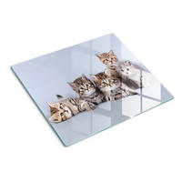 GLASPLATTE 60x52 cm Fünf Katzen - Grau/Grün, Glas (60/52cm) - TULUP