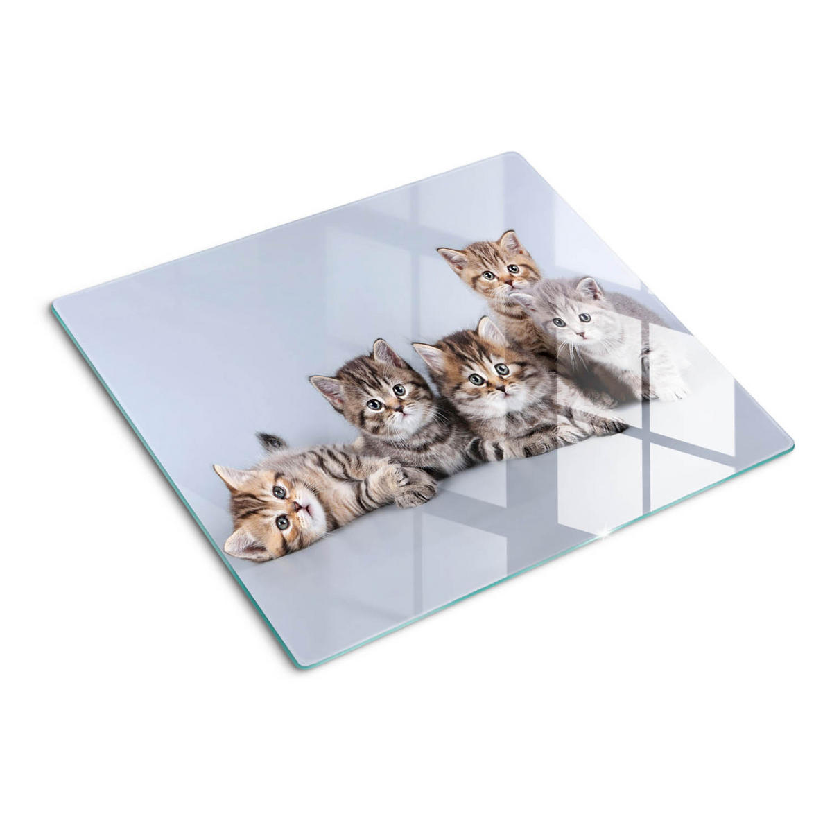 GLASPLATTE 60x52 cm Fünf Katzen - Grau/Grün, Glas (60/52cm) - TULUP