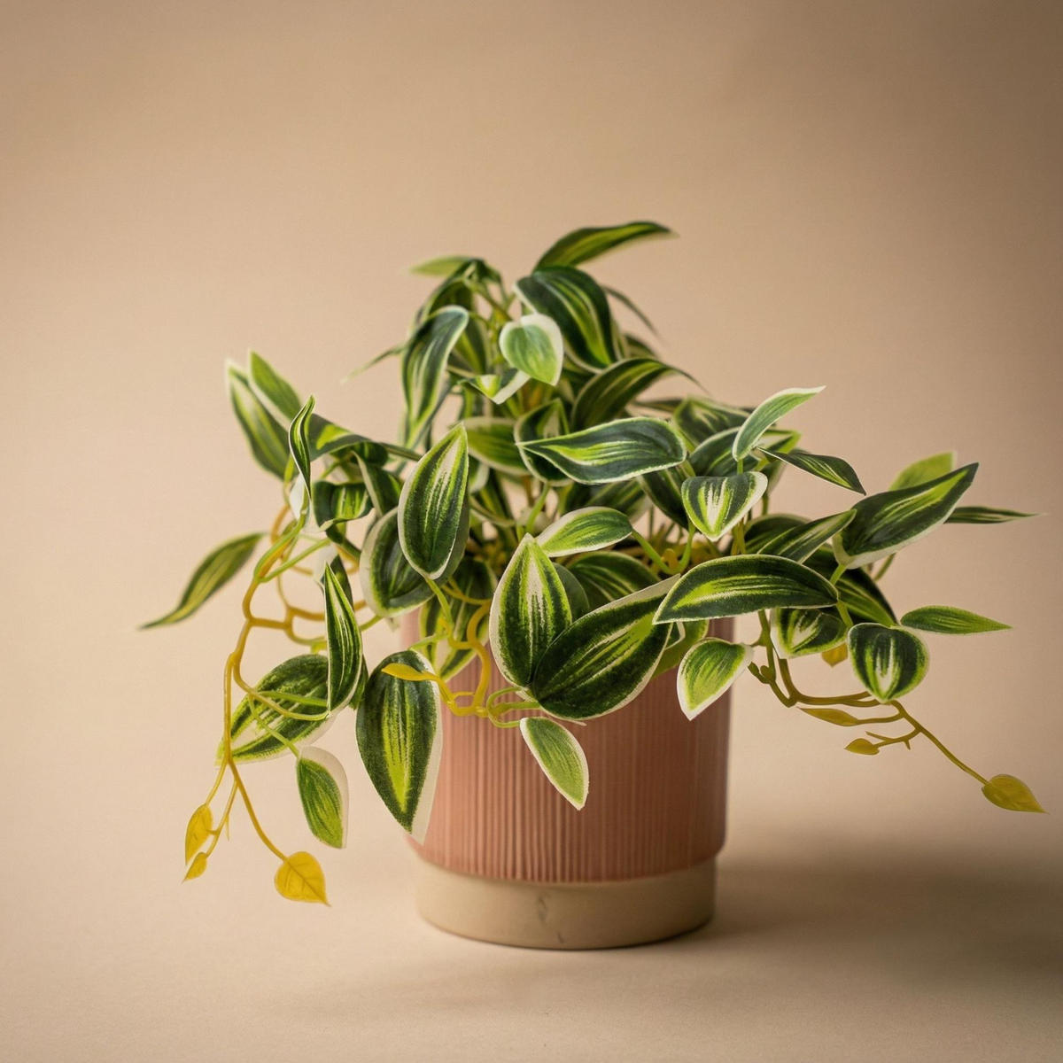 KUNSTPFLANZE Tradescantia Gruen-Weiss im Topf 19cm - Schwarz/Grün, Kunststoff (17cm) - Trendhero