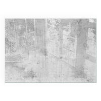 GLASPLATTE für Kamin 100x70 cm - Grau, Glas (100/70/0.4cm) - TULUP