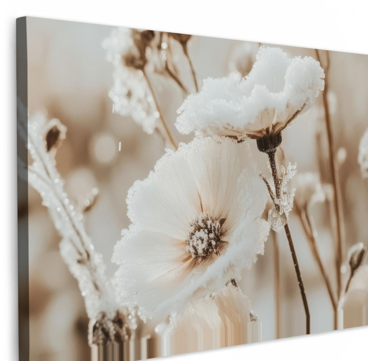 LEINWANDBILD Blumen - Winter - Weiß - Schnee - Beige Wanddeko 90x60 cm - Creme, Textil (90/60cm) - MuchoWow
