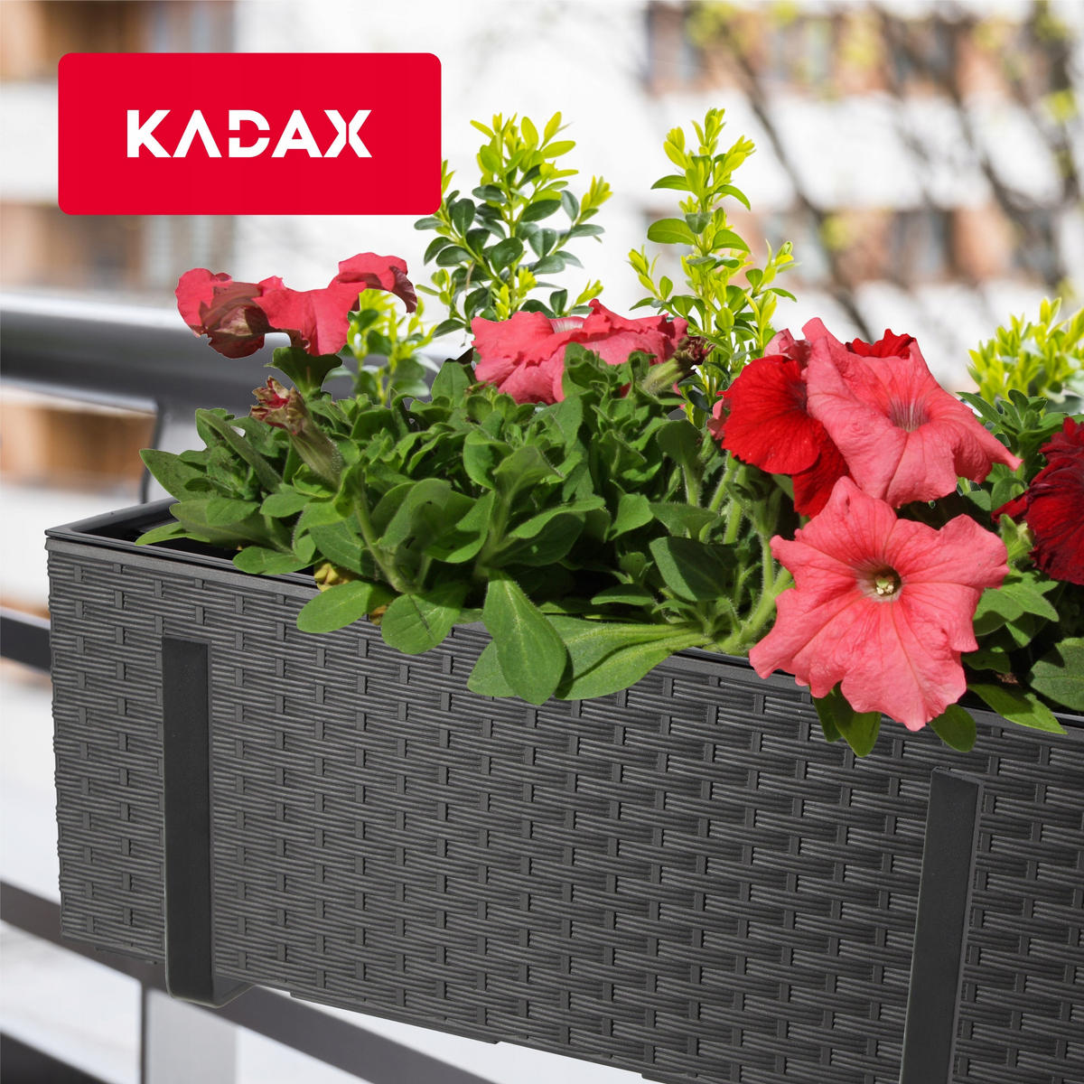 BLUMENKASTEN mit Einsatz und 2 Griffe 56 cm, Graphit - Graphitfarben, Kunststoff - KADAX