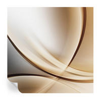 FOTOTAPETE 250x250 cm - Abgerundete Linien - Beige, Textil (250/250cm) - Wallfluent