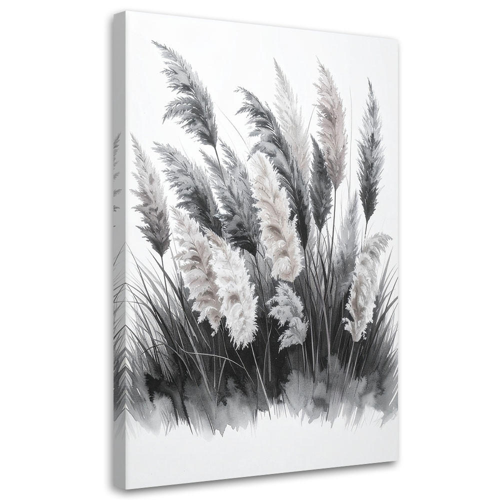 LEINWANDBILD Pampasgras Schwarz-Weiß 80x120cm - Schwarz, Textil (80/120cm) - Feeby