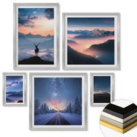 WANDBILDER 5er Set - 50x50 cm & 20x30 cm & 40x60 cm Silberner Rahmen - Nachthimmel Berge Nebel Hirsch - Silberfarben, Kunststoff (40/60cm) - ArtPrintCave