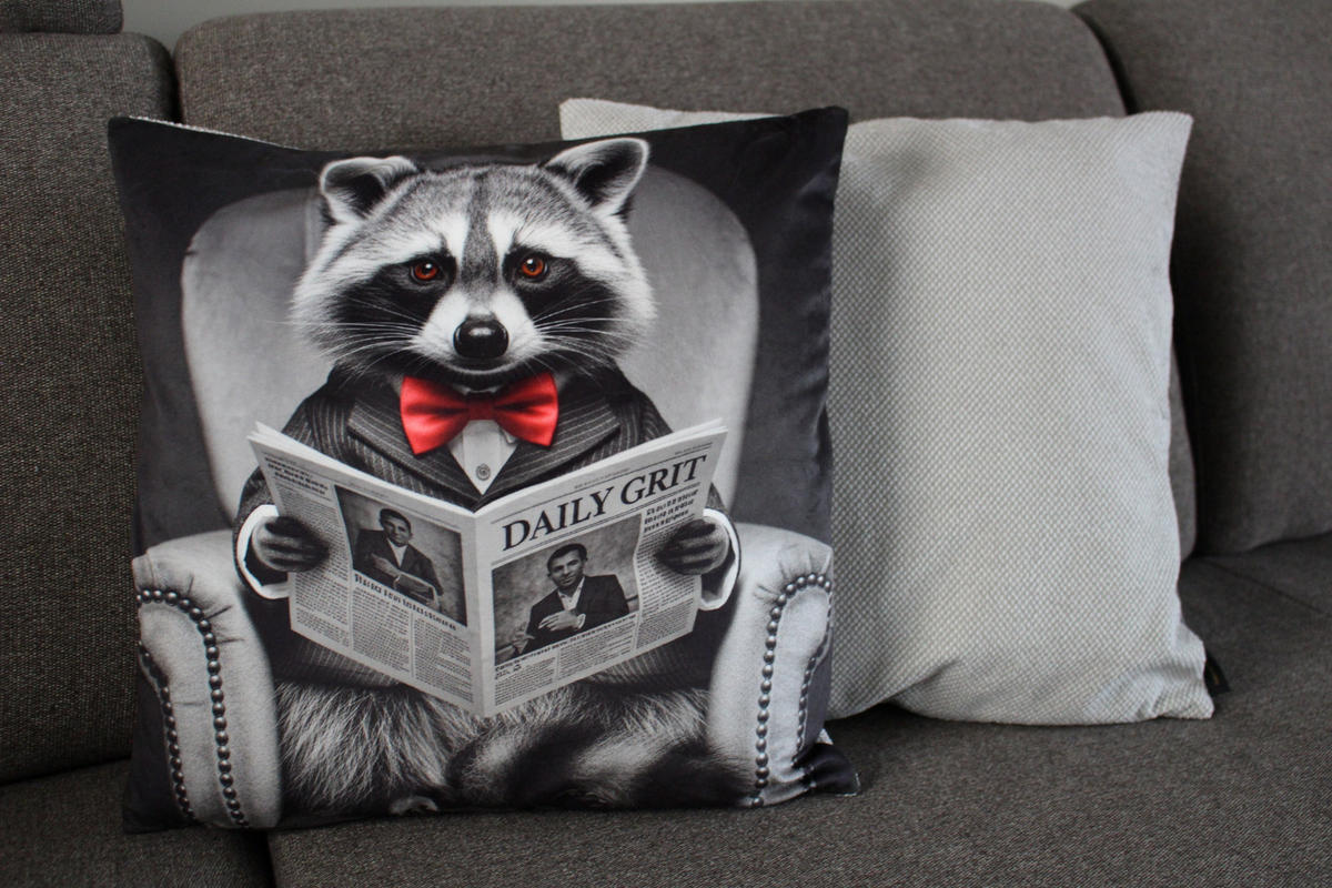 KISSENHÜLLE WASCHBÄR BILL Zeitung - Graubraun, Textil (45/45cm) - Yve! decoration