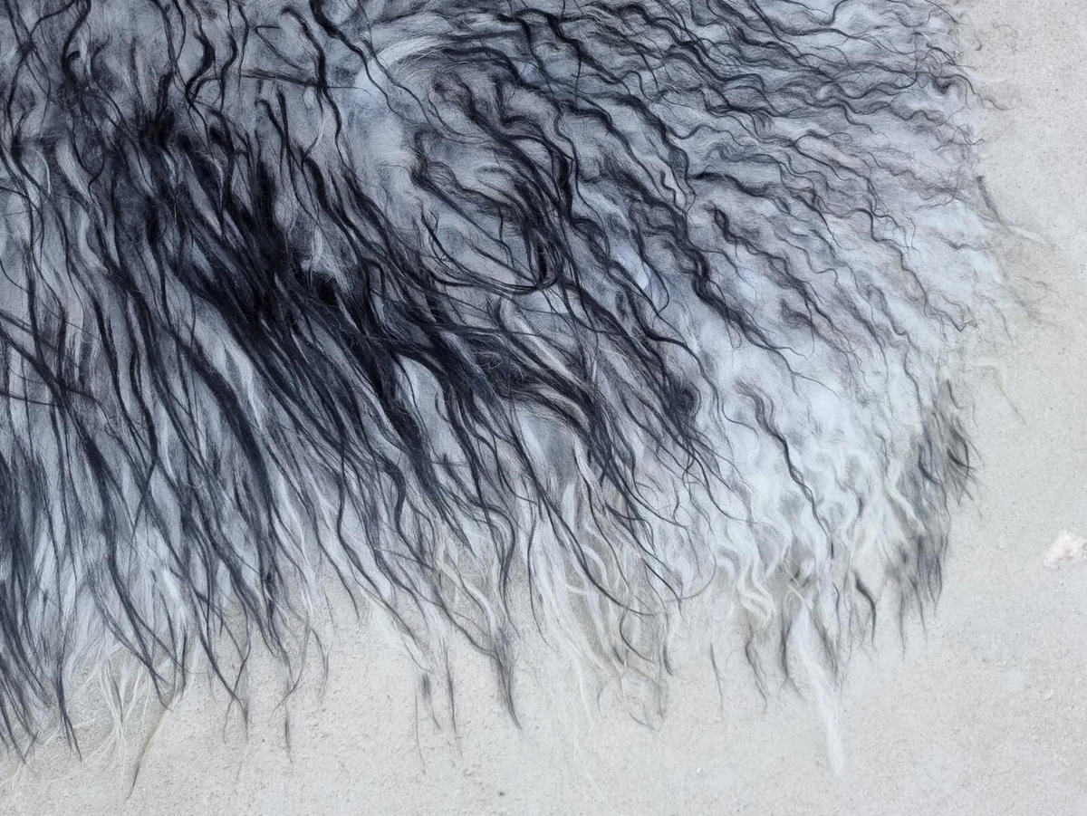 LAMMFELL Island Langhaar natur lockig weich Premium Hellgrau-Schwarz geflammt ca. 105 cm - Hellgrau/Schwarz, Fell (55/105cm) - Provellus