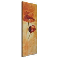 WANDBILD zwei mohnblumen - Orange, Textil (30/90cm) - Feeby