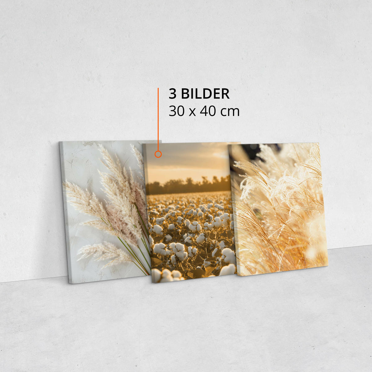 LEINWANDBILDER 3-es Set Pflanzen 3D Boho - Beige/Weiß, Textil (90/40cm) - Muralo