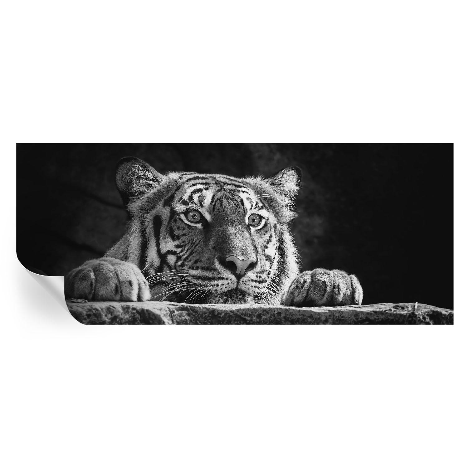 FOTOTAPETE 250x104 cm - Raubtierblick - Türkis, Textil (250/104cm) - Wallfluent