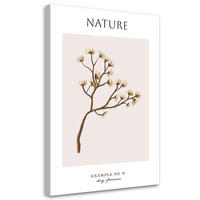 WANDBILD trockene blume natur - Beige, Textil (40/60cm) - Feeby