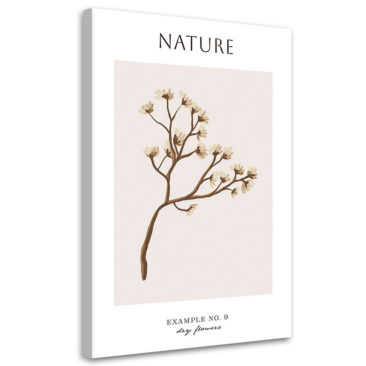 WANDBILD trockene blume natur - Beige, Textil (40/60cm) - Feeby