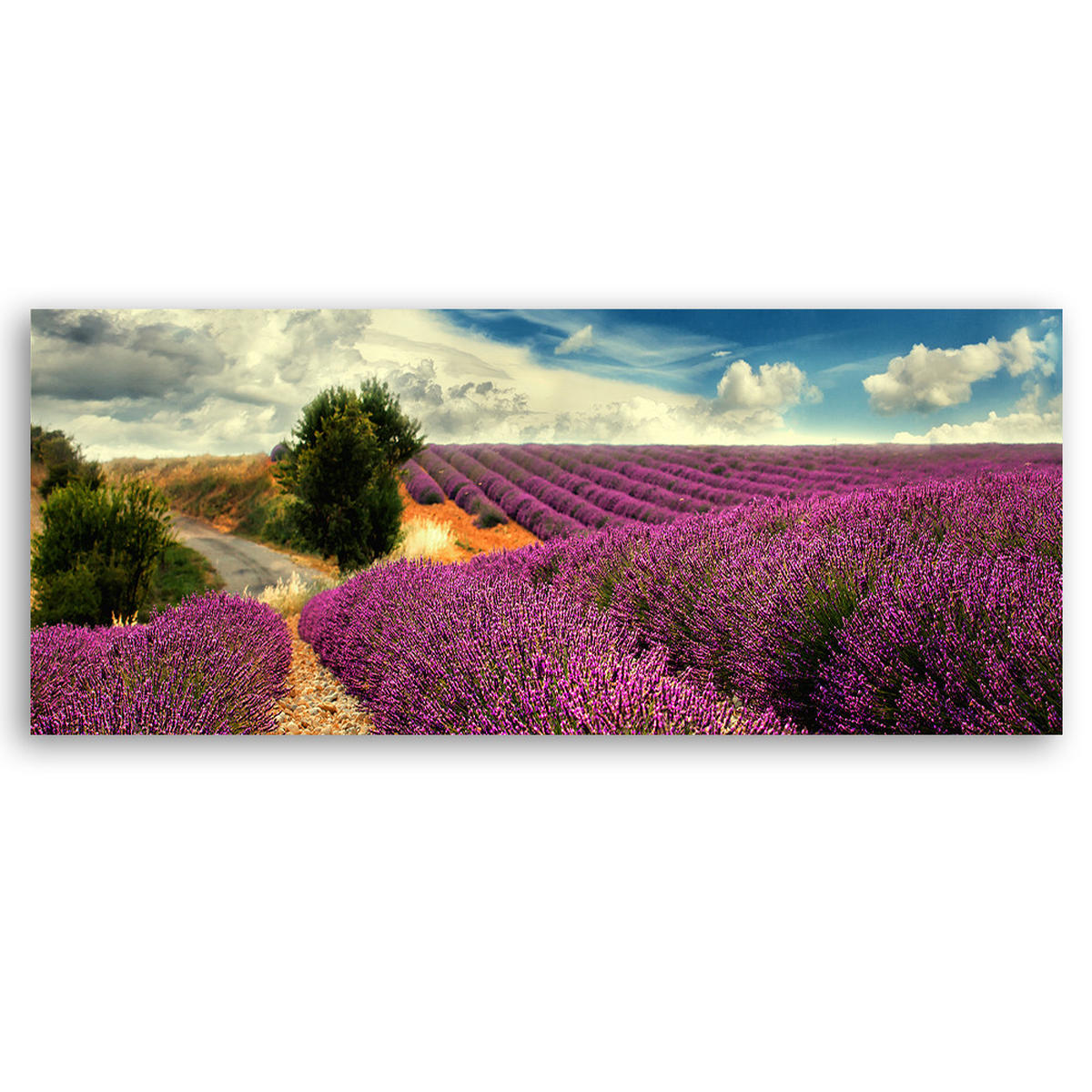 WANDBILD lavendellandschaft - Lila, Textil (90/30cm) - Feeby