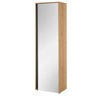 GARDEROBENSCHRANK Evoke Eiche, grau 60 x 200 cm, Flurschrank mit Spiegel - Eichefarben/Schwarz, Glas/Holzwerkstoff (60/200/40cm) - Furn.Design