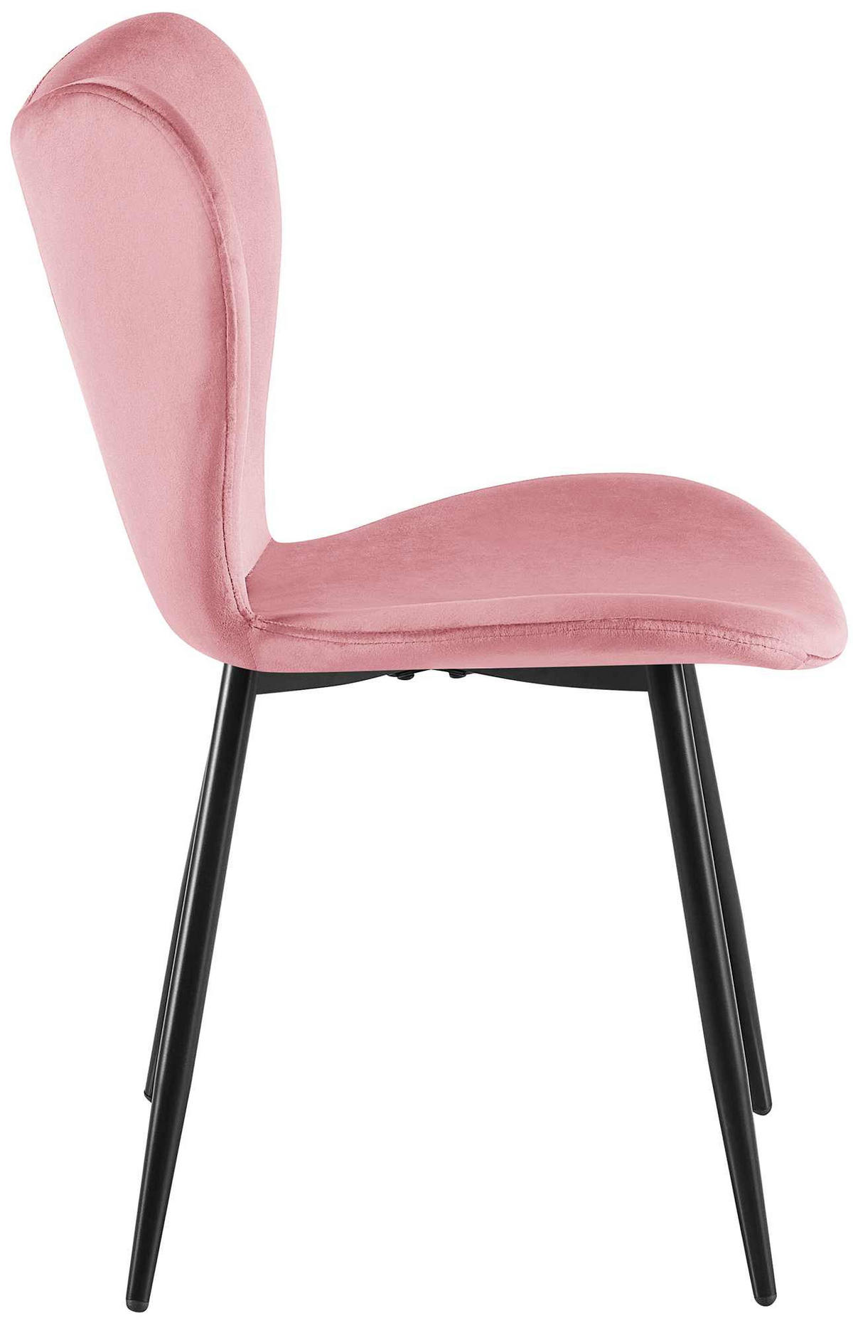 ESSZIMMERSTUHL Samt Rosa - Schwarz/Rosa, Textil/Metall (50/80/58cm) - CLP