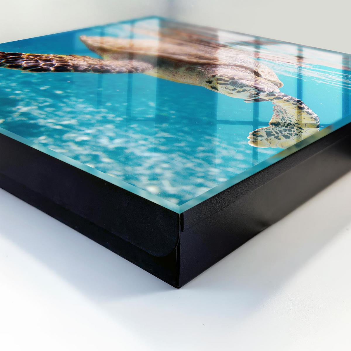 SCHLÜSSELBOX Schwarz 30x30 cm- Türöffnung nach rechts - Unterwasserwelt - Blau, Metall (30/30/5cm) - TULUP