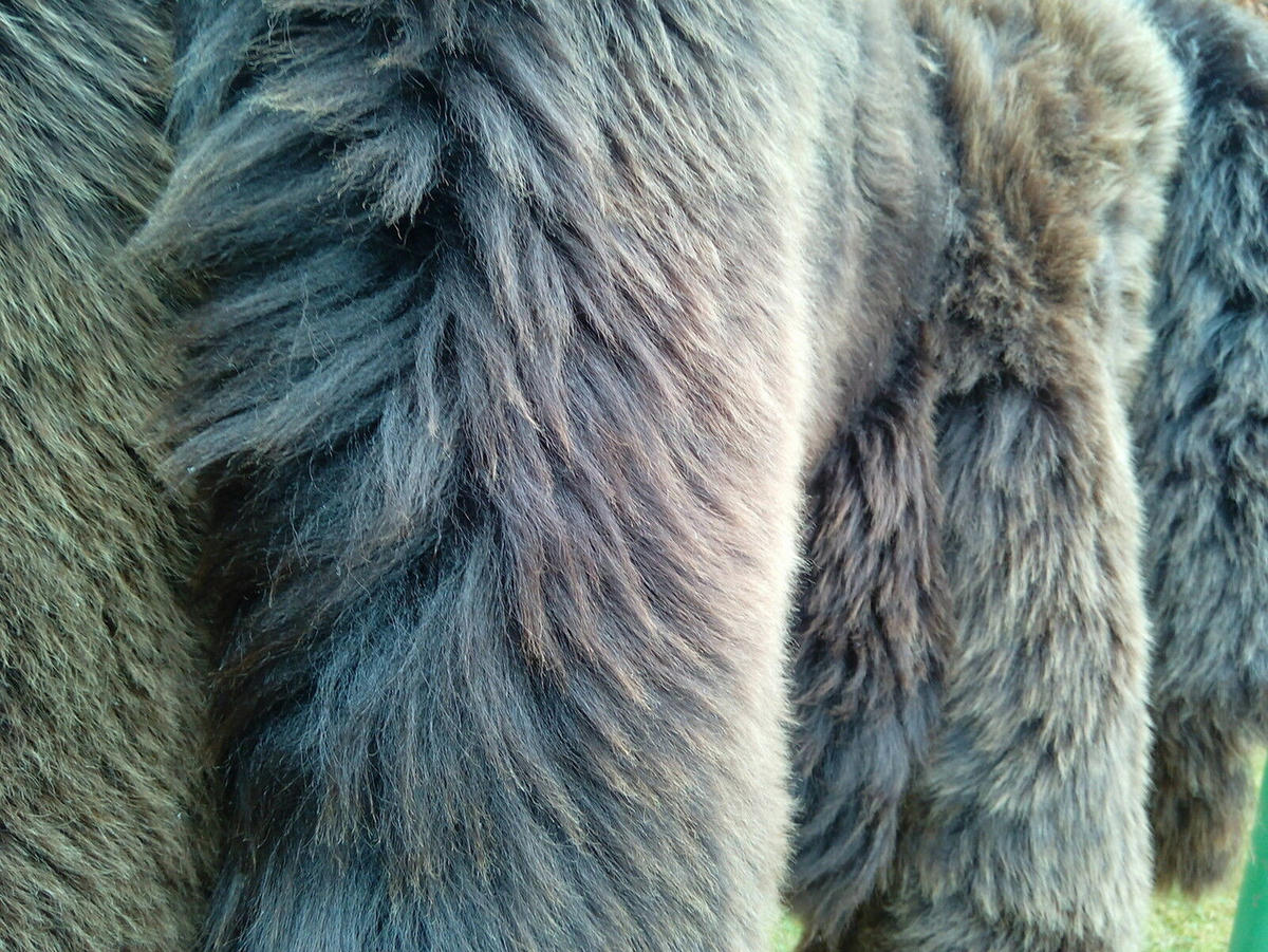 FELL Schaffell naturbraun ca. 90 cm - Braun, Fell (50/90cm) - Provellus