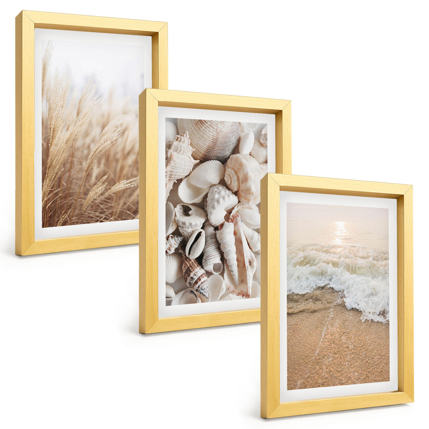BILDER SET 3er Set - 20x30 cm Goldrahmen - Strandmotive, Muscheln, Wellen - Goldfarben, Kunststoff (20/30cm) - TULUP