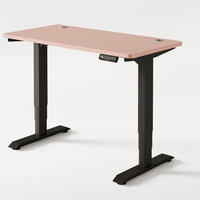 SCHREIBTISCH Elektrisch Höhenverstellbarer HomePro 120x60cm Schwarz/Rosa mit Memory-Funktion, Anti-Kollisions Technologie - Pink/Schwarz, Holzwerkstoff (60/120/72cm) - Desktronic