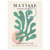 POSTER Vitor Costa - Matisse floral Poster 6 - Multicolor, Papier (70/100/0.1cm) - Poster&Frame