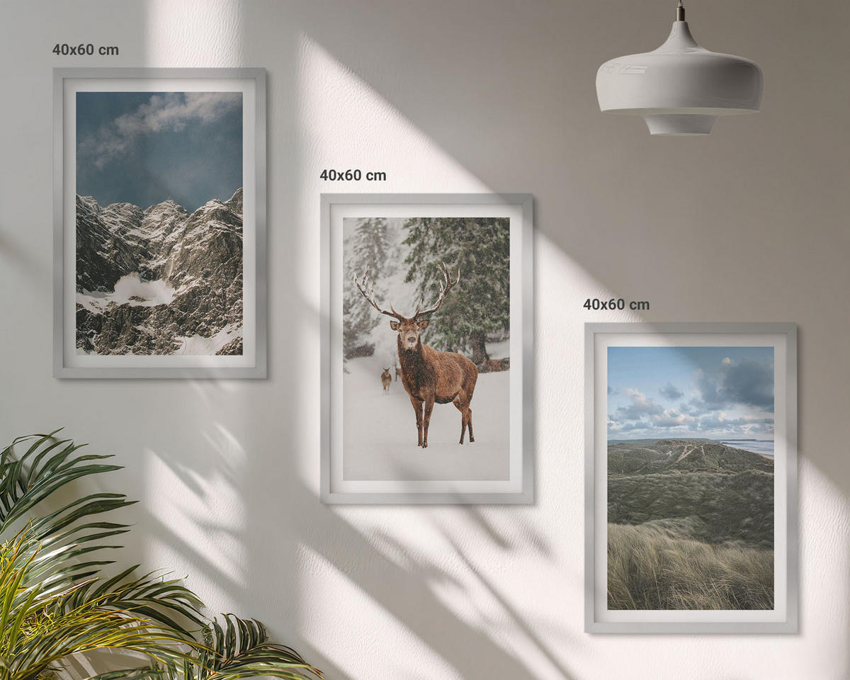 WANDBILDER 3er Set - 40x60 cm Silberner Rahmen - Berge, Schnee, Hirsche, Waldlandschaft - Silberfarben, Kunststoff (40/60cm) - ArtPrintCave