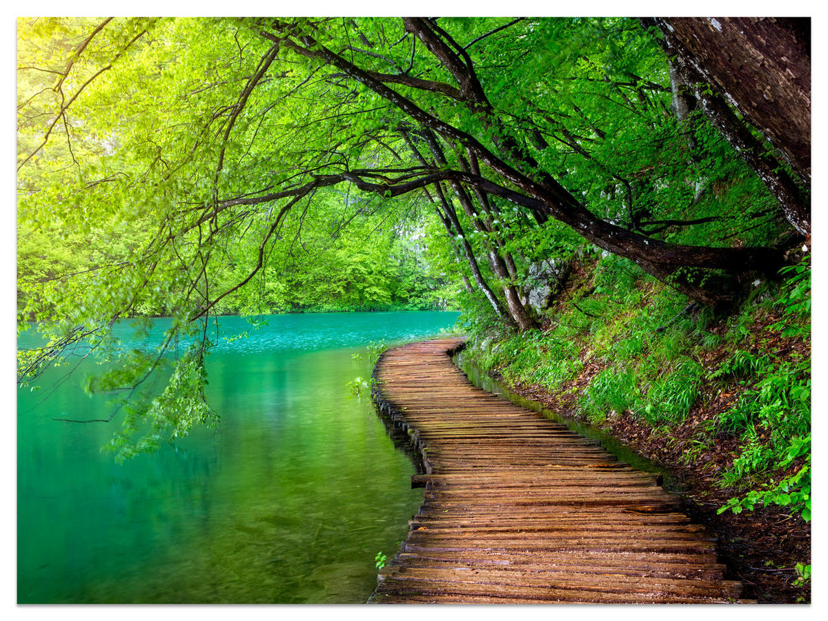 FOTOTAPETE für Wohnzimmer Holzsteg See Bäume Pflanzen Natur 350x256 - Türkis/Braun, Papier (350/256cm) - Muralo