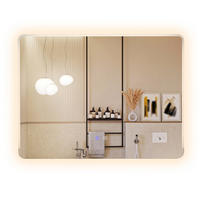 BADSPIEGEL mit Beleuchtung silber - Silberfarben, Glas (80/60/3cm) - COSTWAY