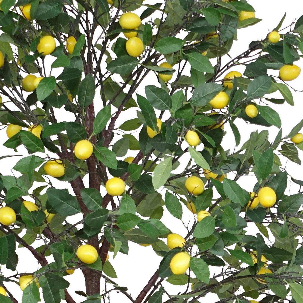 ZITRONENBAUM, Künstlich - Grün, Textil (200cm) - Oviala