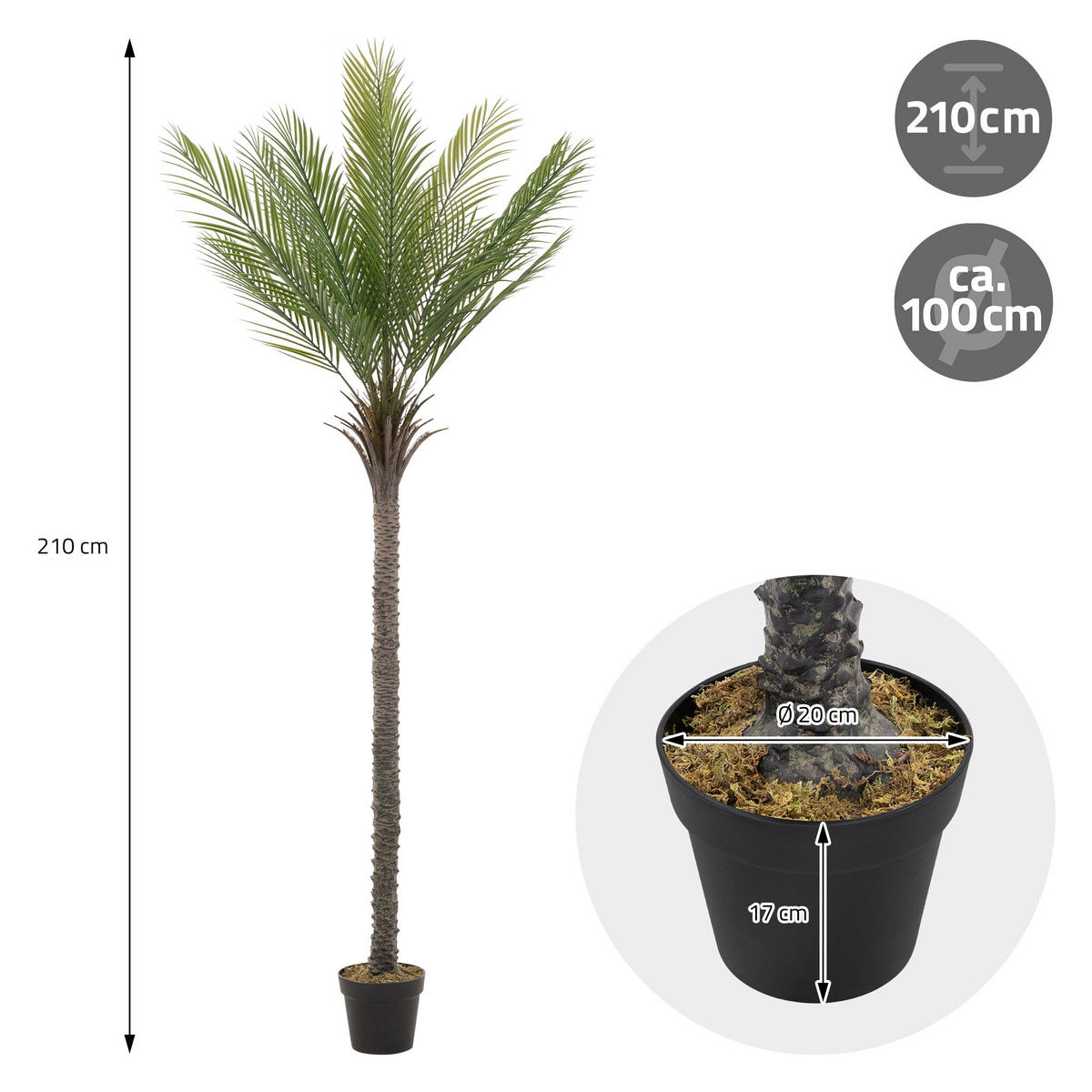 KUNSTPFLANZE Palme - Anthrazit/Grün, Holz/Kunststoff (210cm) - ML-DESIGN
