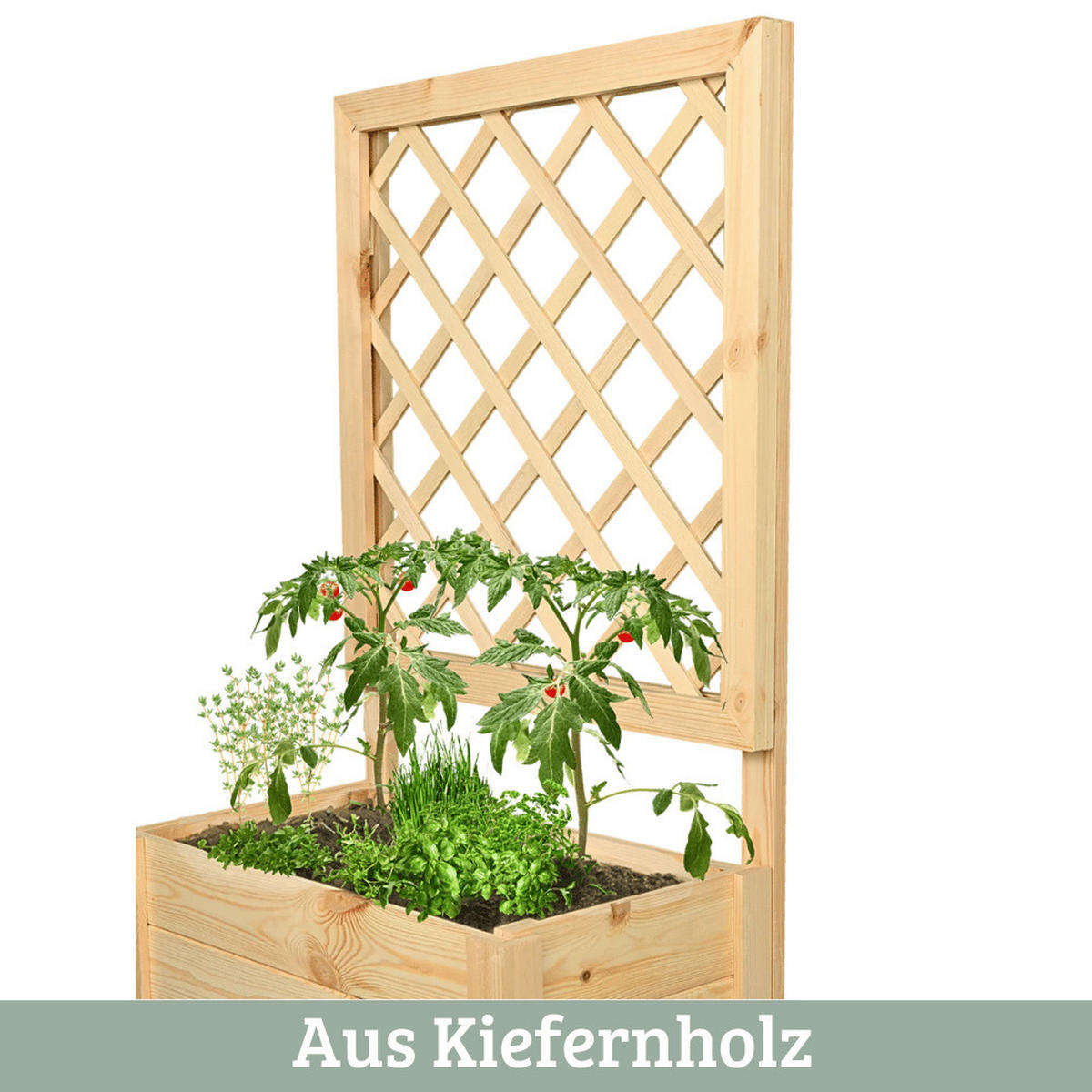 PFLANZKASTEN mit Rankgitter THIO Inkl. Vlies 58cm Breit - Braun, Holz (58/104/34cm) - DELUKE