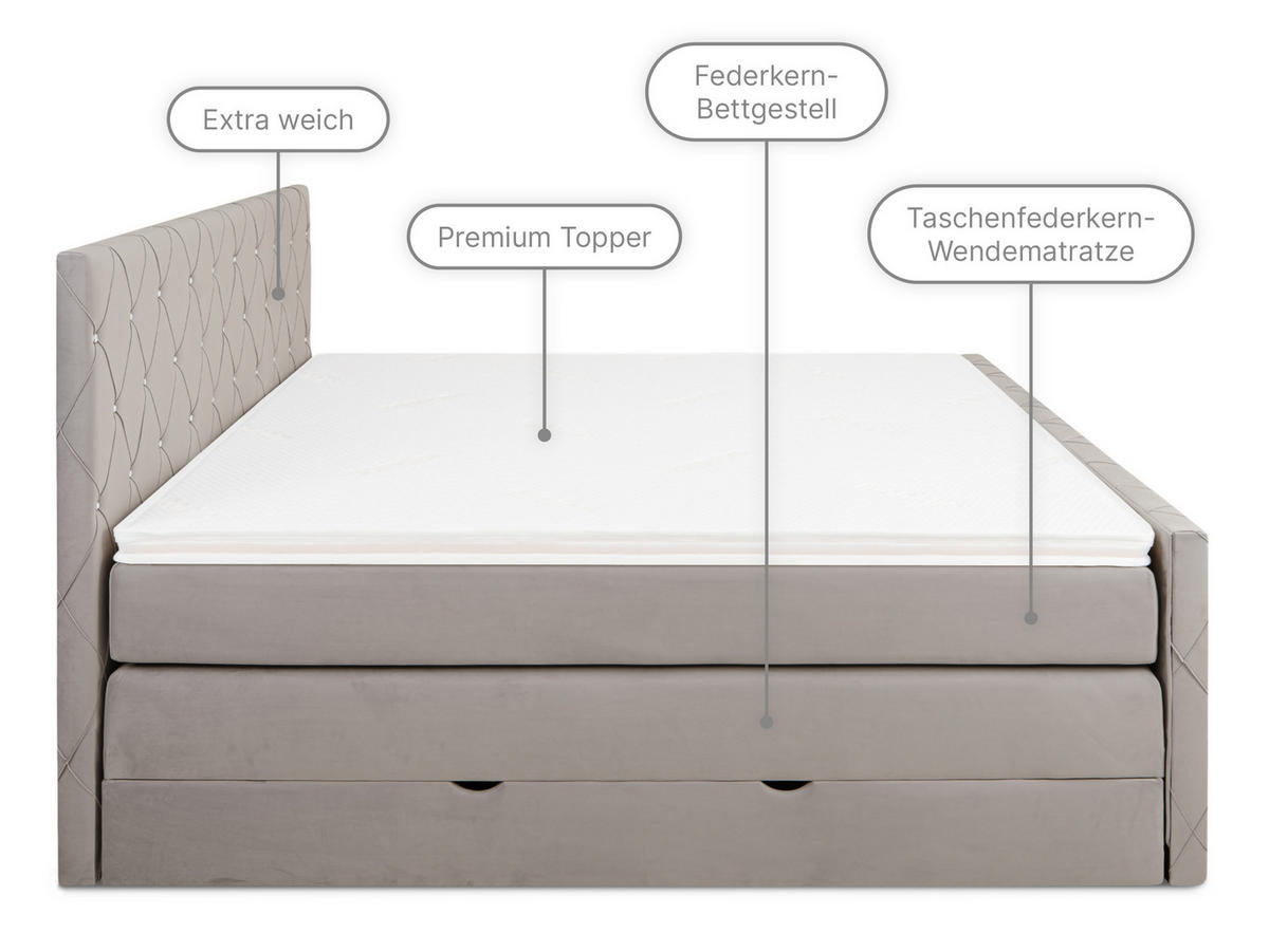 BOXSPRINGBETT Dubai Grau 160 /200 cm H3/H4 Samt - Grau, Textil (160/200cm) - wonello