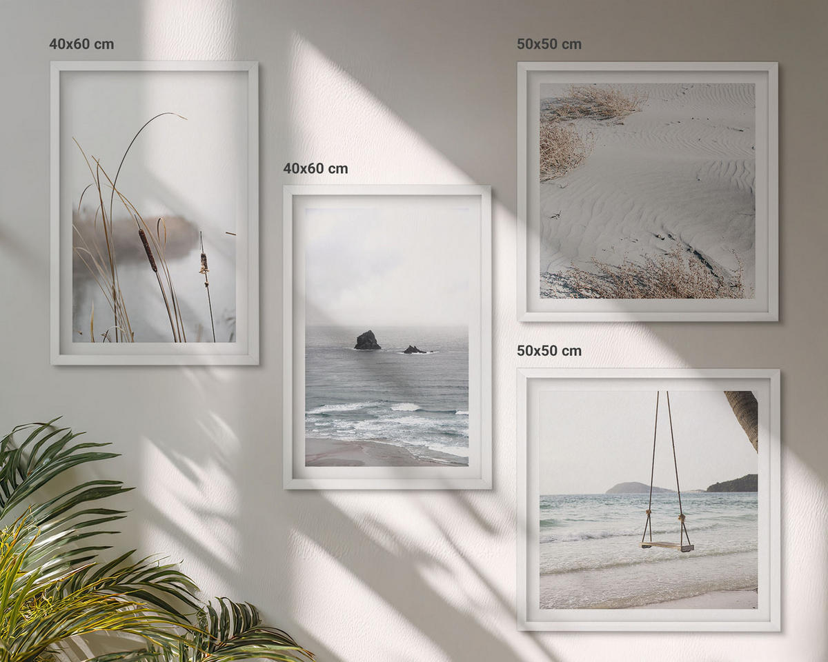 BILDER SET 4er Set - 50x50 cm & 40x60 cm Weißer Rahmen - Vegetation am Wasser im Sommer - Weiß, Kunststoff (50/50cm) - TULUP