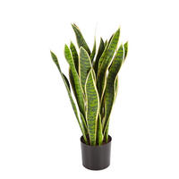 SANSEVIERIAS Künstlicher Bogenhanf - Liam 80 cm - Multicolor, Kunststoff (80cm) - aplanta