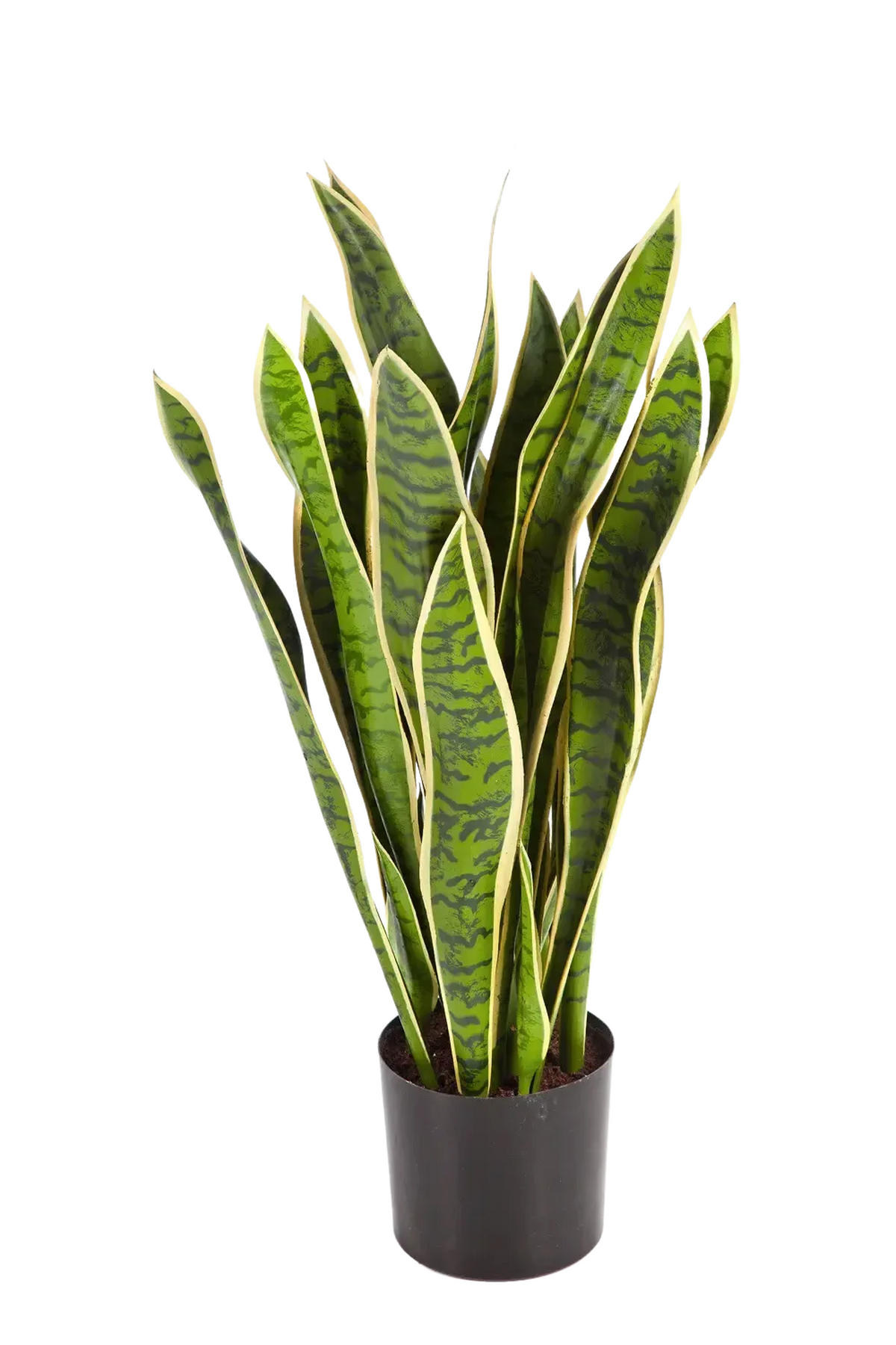 SANSEVIERIAS Künstlicher Bogenhanf - Liam 80 cm - Multicolor, Kunststoff (80cm) - aplanta