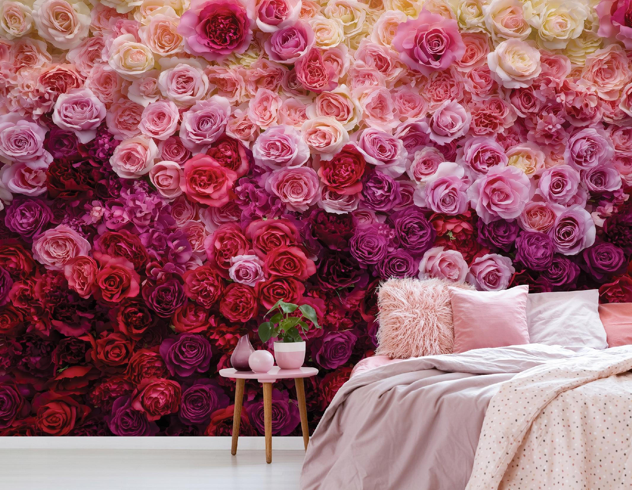 FOTOTAPETE Blumen Rosen Rosa 350x250 cm - Multicolor, Papier (350/250cm) - Wallarena