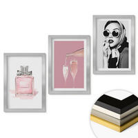 WANDBILDER 3er Set - 20x30 cm Silberner Rahmen - Stilvolle pinkfarbene Accessoires - Silberfarben, Kunststoff (20/30cm) - ArtPrintCave