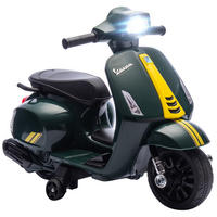 ELEKTRO-MOTORRAD DE-13165 Stützräder Dunkelgrün - Grün, Kunststoff (71/37/52cm) - ComfortXL