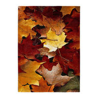 WEBTEPPICH Mehrfarbig Koby 120/170 cm - Multicolor, Naturmaterialien/Textil (120/170cm) - Atticgo