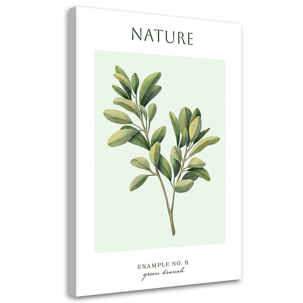 WANDBILD grüner zweig natur - Grün, Textil (40/60cm) - Feeby