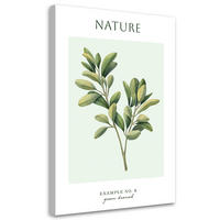 WANDBILD grüner zweig natur - Grün, Textil (40/60cm) - Feeby