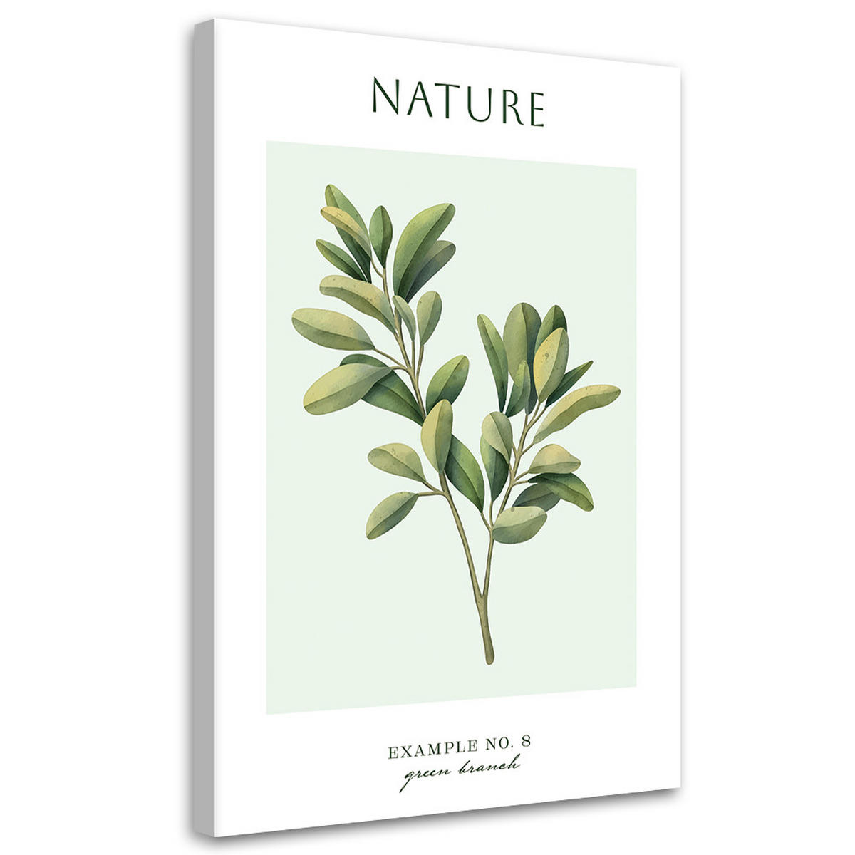 WANDBILD grüner zweig natur - Grün, Textil (40/60cm) - Feeby