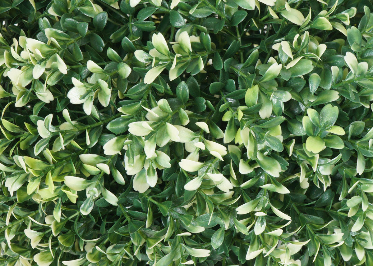 KÜNSTLICHER BUSCH Weiß - Weiß, Kunststoff (35cm) - MCW