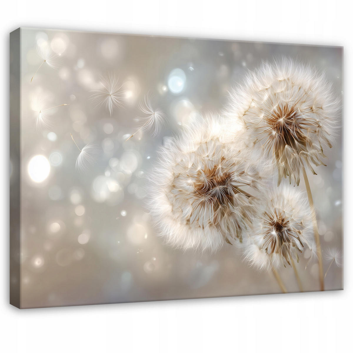 LEINWANDBILD Pusteblumen Blumen Beige 100x70 cm - Multicolor, Holzwerkstoff (100/70cm) - Wallarena