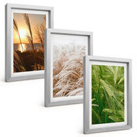 BILDER SET 3er Set - 20x30 cm Silberner Rahmen - Gräser farbenfrohe Natur - Silberfarben, Kunststoff (20/30cm) - TULUP
