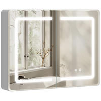 BADEZIMMERSPIEGEL silberfarben - Silberfarben, Glas (80/60/13.5cm)