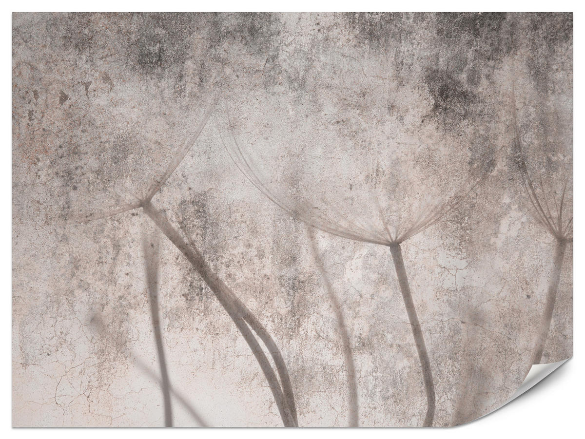 FOTOTAPETE für Schlafzimmer Retro Löwenzahn Beton Beige Minimalistisch 300x210 - Beige/Braun, Papier (300/210cm) - Muralo