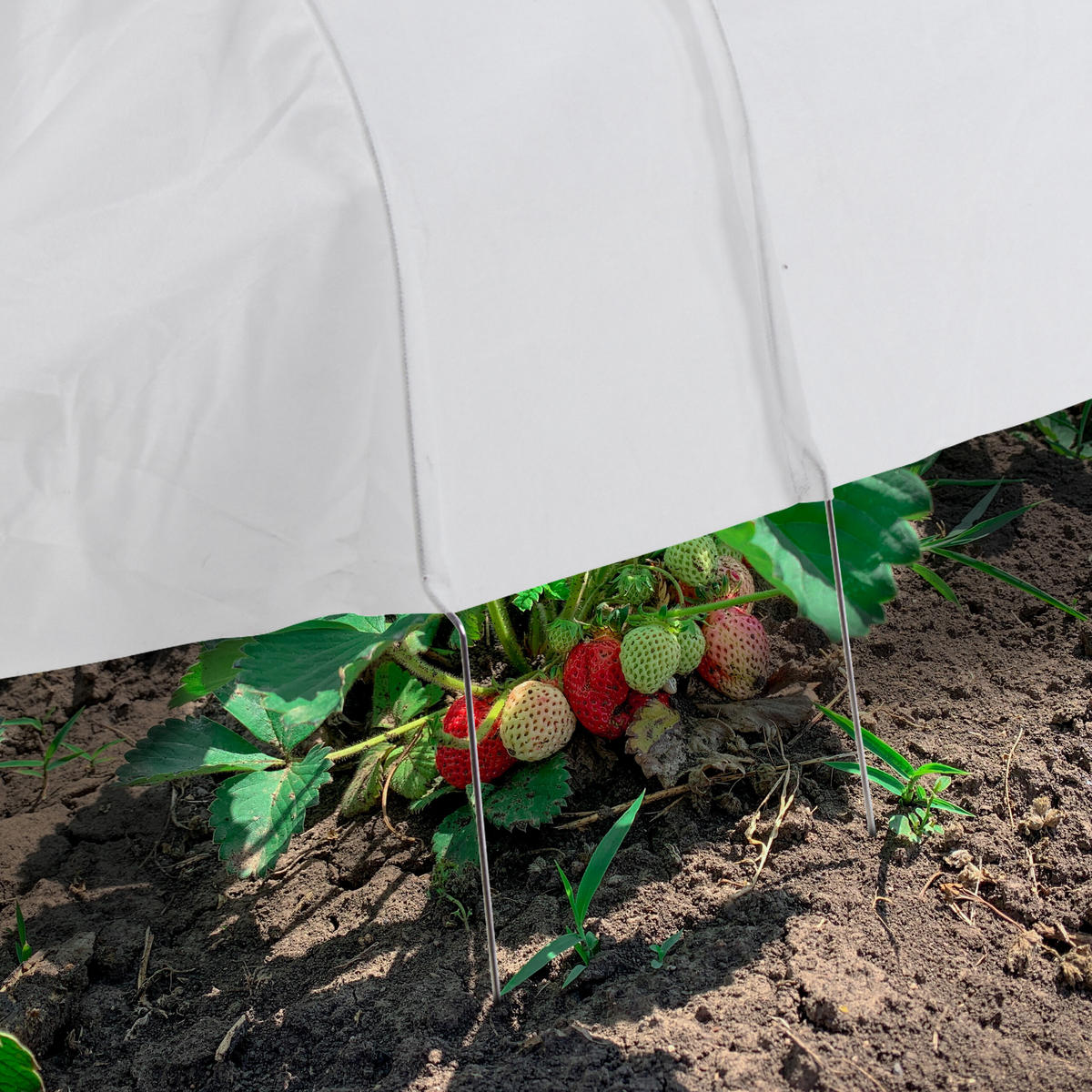 2xPFLANZTUNNEL - Weiß, Textil/Metall (50/53/700cm) - Relaxdays