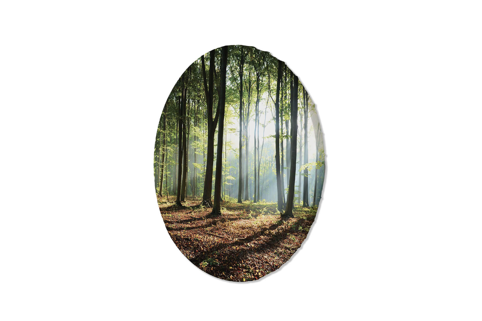 RUNDES BILD Grün 60/60 cm - Braun/Grün, Textil (60/60cm) - KUNSTLOFT